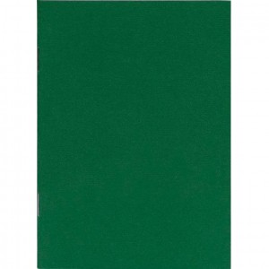 Книга записна А6 "Графіка" 36л.,КЛІТИНКА, скоба Зелена ЗК6836 К