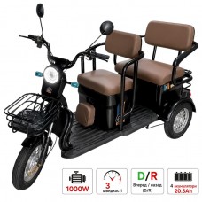 Електротрайк триколісний 1000W, колеса 10", з багажником та двома сидіннями, чорний AD26-11
