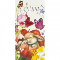 Конверт для грошей вітальний "Spring" КВ 25-289