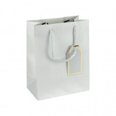 Пакет подарунковий 26х32х12 см однотонний SILVER HL-1992