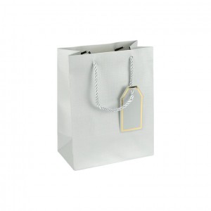 Пакет подарунковий 18х23х10 см однотонний SILVER HL-1991