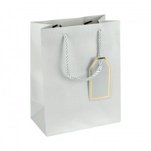 Пакет подарунковий 31х42х12 см однотонний SILVER HL-1993