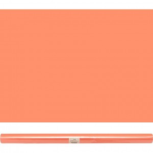 Папір пакувальний для квітів 56см*10м COLOR 22