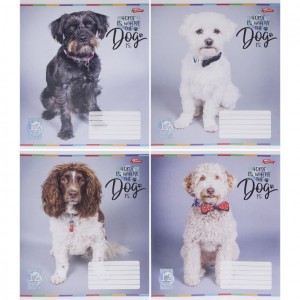 Зошит кольоровий 12 аркушів, коса з доп.лініей 3707 N