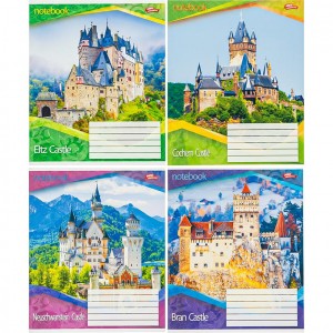 Зошит кольоровий 24 аркуші, клітинка 3532 N